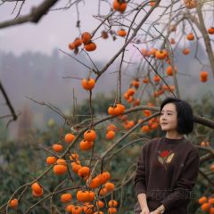 宝马生态农庄·柴火鸡(宝马店) User Photo