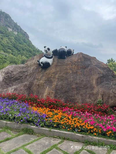 Changyu Dongtian Panda House