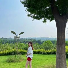 时令花开-皂角原宴园餐厅 User Photo