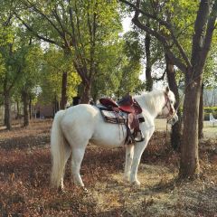 HENG CHENG JIU JIA User Photo