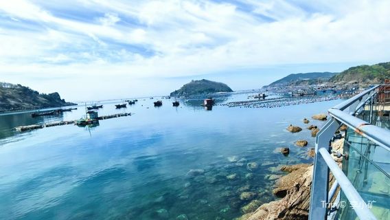 yin niu wan huang jin hai an