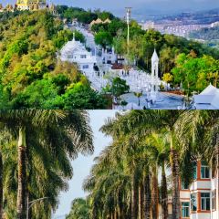 芒市天然活螃蟹 User Photo