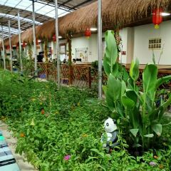 Aizemaitijiangkaoquanyang User Photo