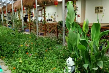 Aizemaitijiangkaoquanyang