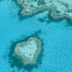 百味土菜館張用戶圖片