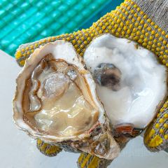 XIN JIA HAO HENGQIN OYSTER HOTPOT SHOP 여행 사진