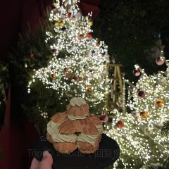 Cooperland User Photo