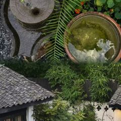 误会·庭院 User Photo