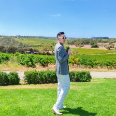 Penfolds Magill Estate Restaurant User Photo
