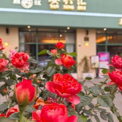 Yanxinghui New-style Sichuan Cuisine User Photo