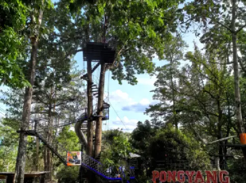 Pongyang Jungle Coaster & Zipline