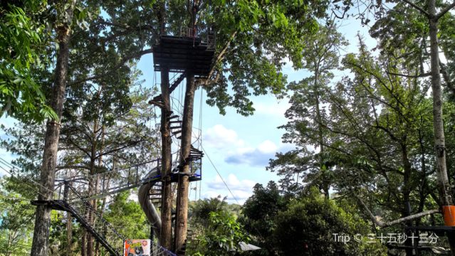Pongyang Jungle Coaster & Zipline