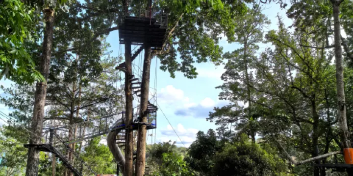 清邁博巖叢林飛躍