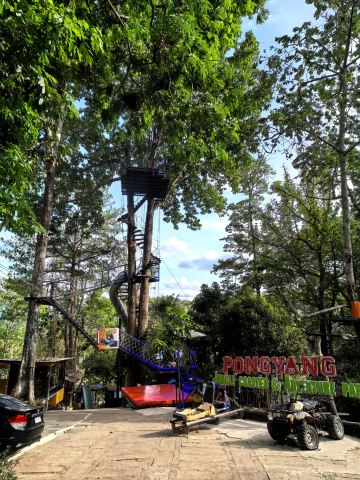 Pongyang Jungle Coaster & Zipline