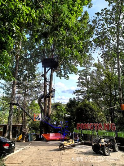 Pongyang Jungle Coaster & Zipline