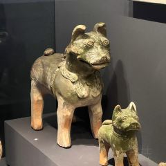 东关回民小吃一条街 User Photo