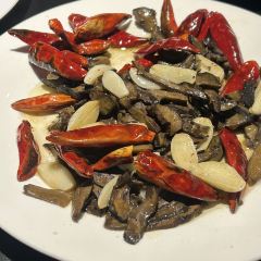 Southern Barbarian User Photo