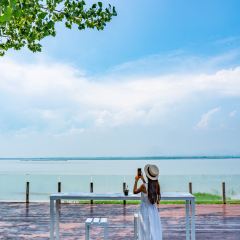 观湖台 User Photo