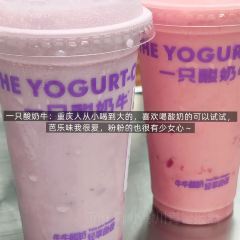 Yizhisuannainiu (jiefangbeibayilu) User Photo