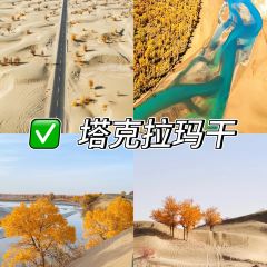新大漠红柳烤肉餐厅 User Photo
