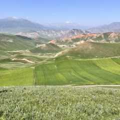 伊帆食府地方特色美食 여행 사진