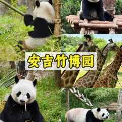 TAIHURENJIA·SUZHECAI User Photo