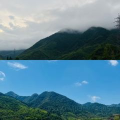 PAN PO FAN DIAN User Photo
