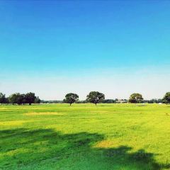 Happy Lamb Hot Pot User Photo