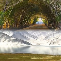 愛樂熱木肉饢烤包子張用戶圖片
