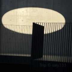 河源春沐源小镇·棕榈树酒店·Papa Razzi西餐厅 User Photo