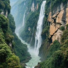 ZHEN FENG SHU JI NUO MI FAN User Photo