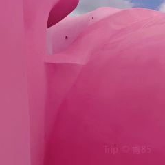 Torch Coffee 炬点咖啡 User Photo