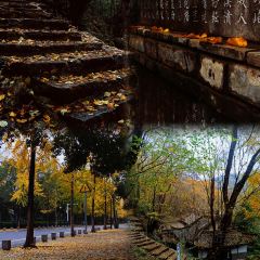 XIAO CAI YUAN User Photo