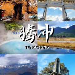 鸟鸣涧野生菌森林餐厅 여행 사진