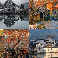 Cheng kan mao dou fu User Photo