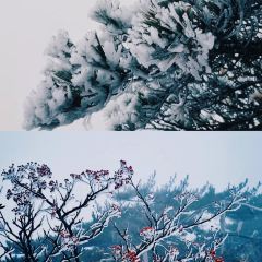 秀嫂挞粿 User Photo