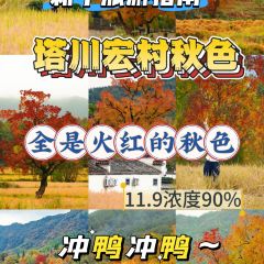 DE YUE LOU User Photo