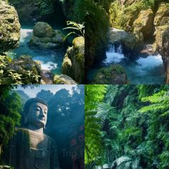 DOU XIANG SHI User Photo