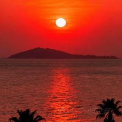 LIN JIA MIN NAN FLAVOR User Photo