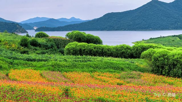 Wazigou Tourism Scenic Area