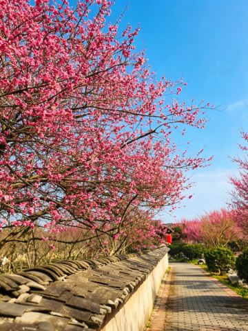 Shiyi Thatched Cottage