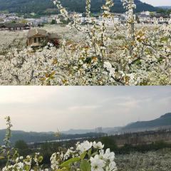 老梨园农庄 여행 사진