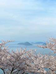 Mt. Shiude Observation Deck 紫雲出山山頂展望台