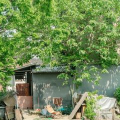 秀珍面馆·蟹面(海宁长安人民路店) User Photo