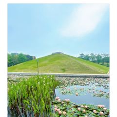 off work在海边·星空帐篷营地 여행 사진
