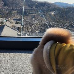 Snow Peak（北京紫暘山莊店）張用戶圖片