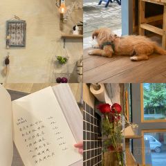 小芒一夏 User Photo