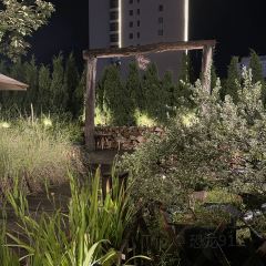 Vintage 198x張用戶圖片