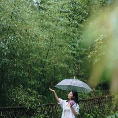 青芷森林·咖啡店 User Photo