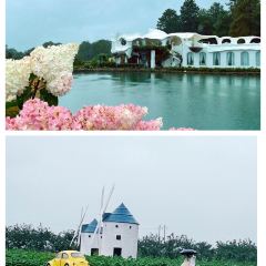 听花谷餐厅 User Photo